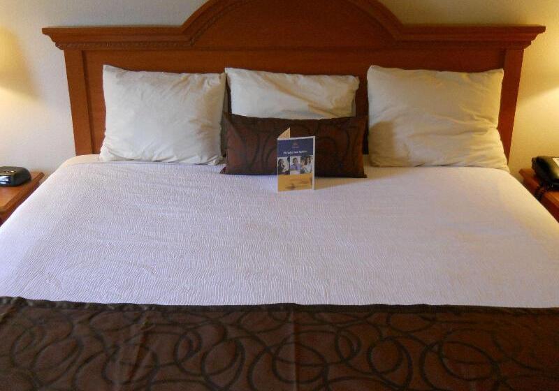 스위트, Best Western Windsor Inn And Suites