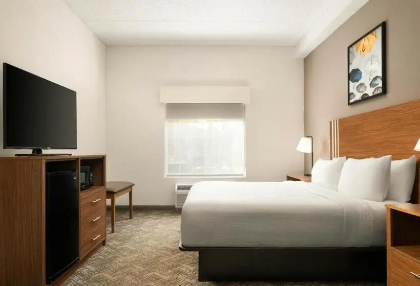 身障者適用キングサイズベッドルーム, City Express by Marriott Danville