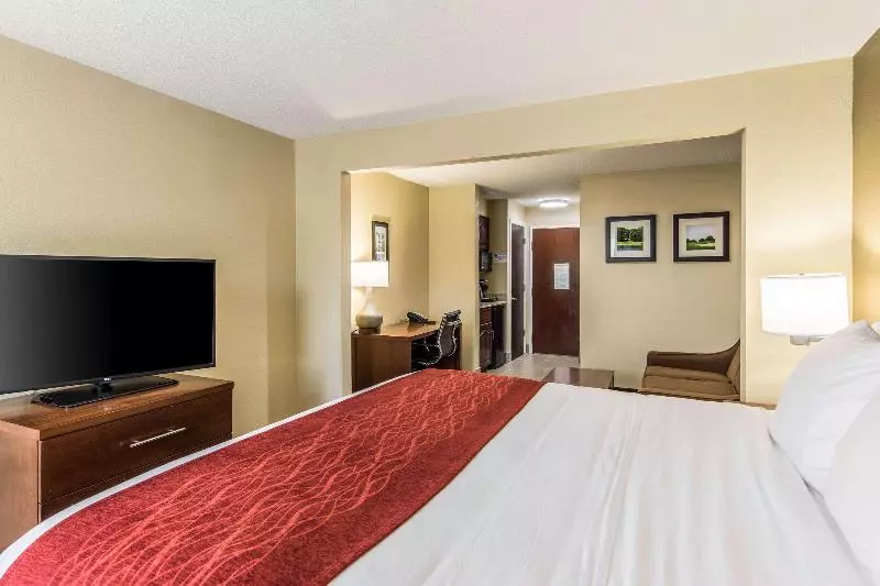 キングサイズベッドのスイートルーム, Comfort Inn & Suites Greenwood Near University