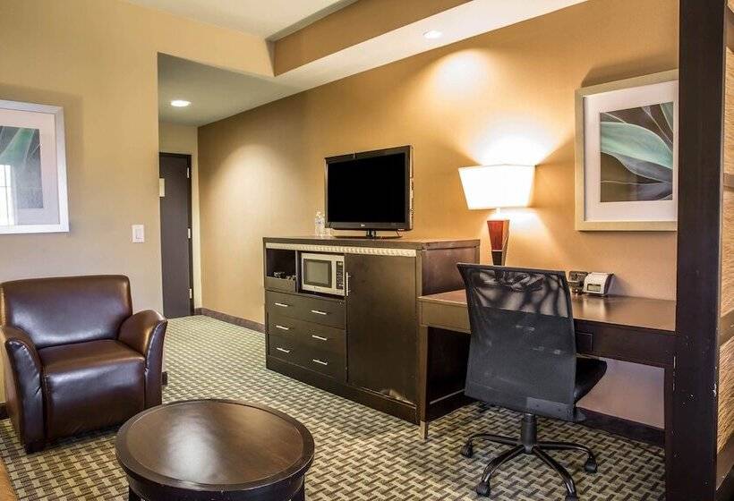 スイート, Comfort Suites New Bern Near Cherry Point