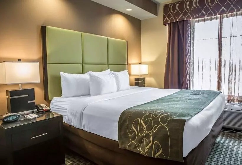 スイート, Comfort Suites New Bern Near Cherry Point