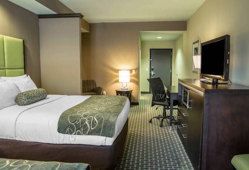 Люкс, Comfort Suites New Bern Near Cherry Point