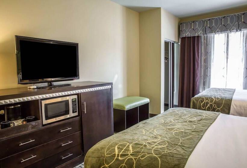 身障者適用スイートルーム, Comfort Suites New Bern Near Cherry Point