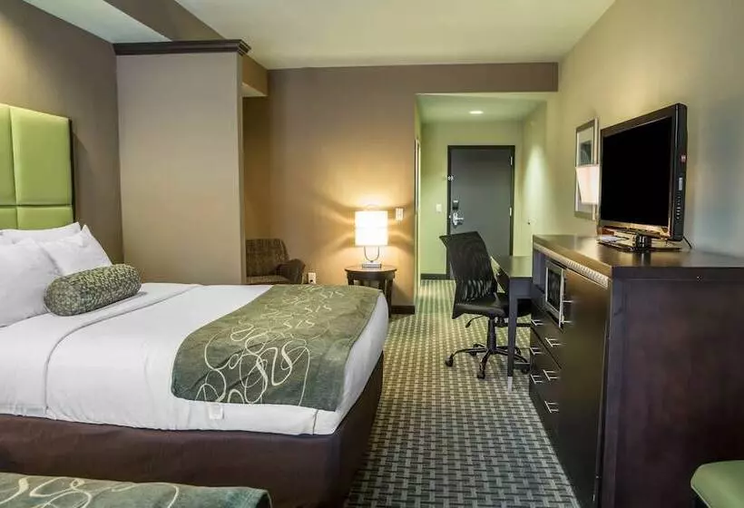 身障者適用スイートルーム, Comfort Suites New Bern Near Cherry Point