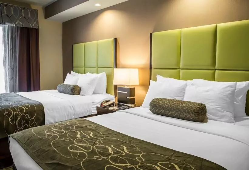 身障者適用スイートルーム, Comfort Suites New Bern Near Cherry Point