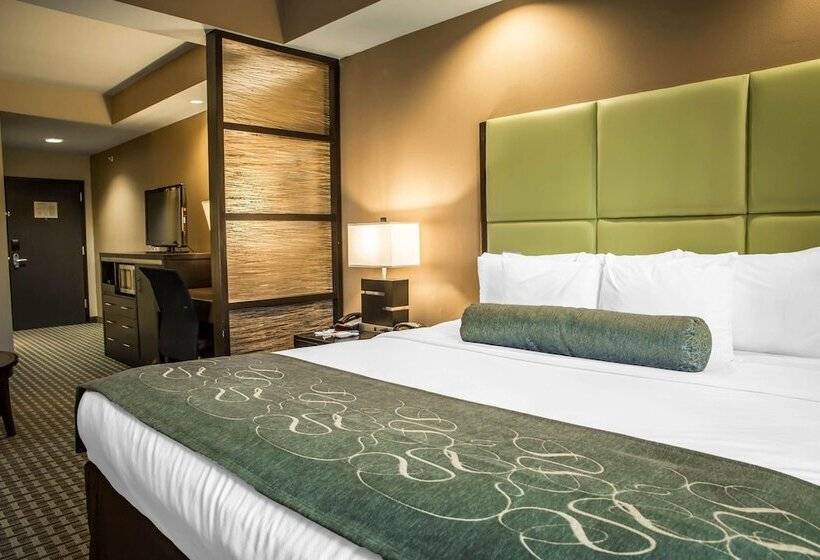 身障者適用スイートルーム, Comfort Suites New Bern Near Cherry Point