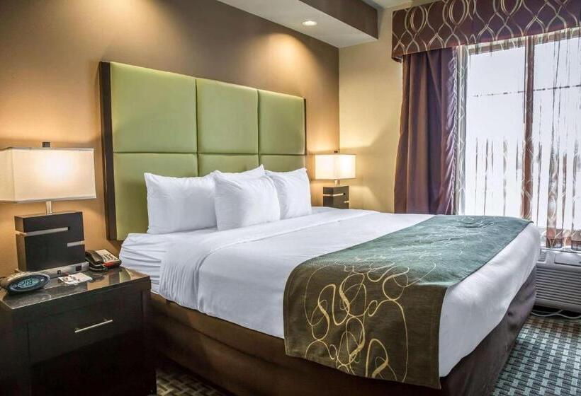 キングサイズベッドのスイートルーム, Comfort Suites New Bern Near Cherry Point