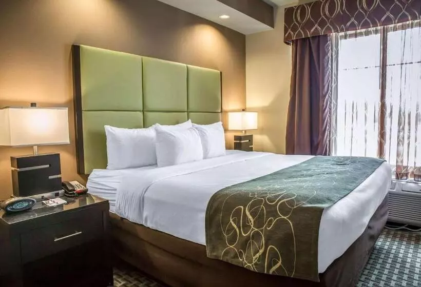 キングサイズベッドのスイートルーム, Comfort Suites New Bern Near Cherry Point