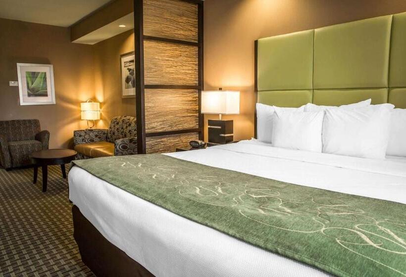 Люкс Кровать Кинг, Comfort Suites New Bern Near Cherry Point