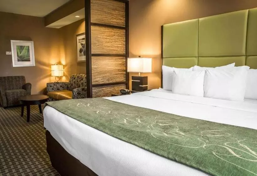 キングサイズベッドのスイートルーム, Comfort Suites New Bern Near Cherry Point