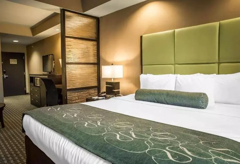 キングサイズベッドのスイートルーム, Comfort Suites New Bern Near Cherry Point