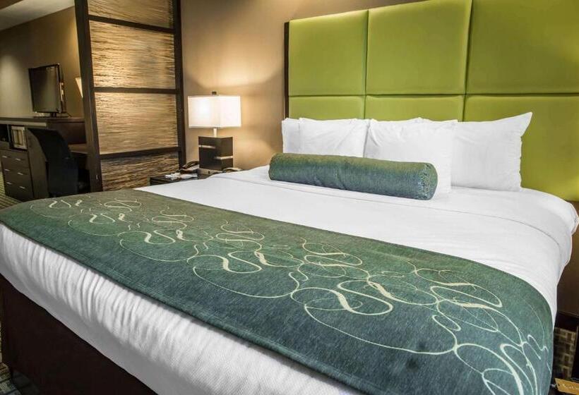 キングサイズベッドのスイートルーム, Comfort Suites New Bern Near Cherry Point