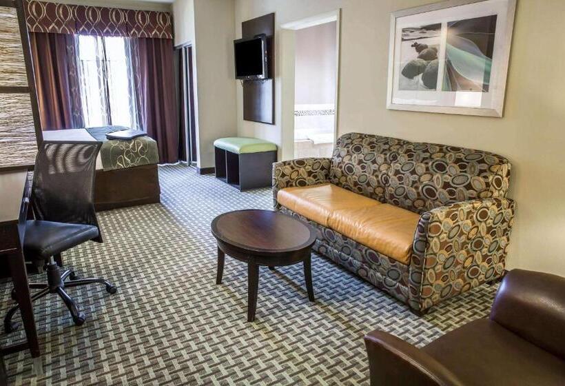 キングサイズベッドのスイートルーム, Comfort Suites New Bern Near Cherry Point