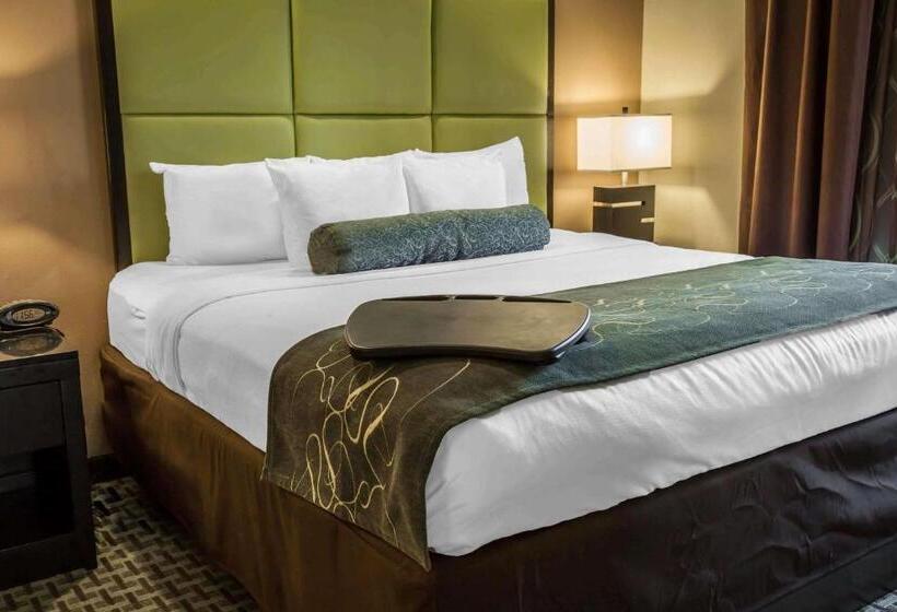 キングサイズベッドのスイートルーム, Comfort Suites New Bern Near Cherry Point