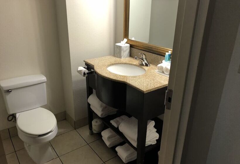 Номер Стандарт 2 Двуспальные Кровати, Country Inn & Suites By Radisson, Murrells Inlet, Sc