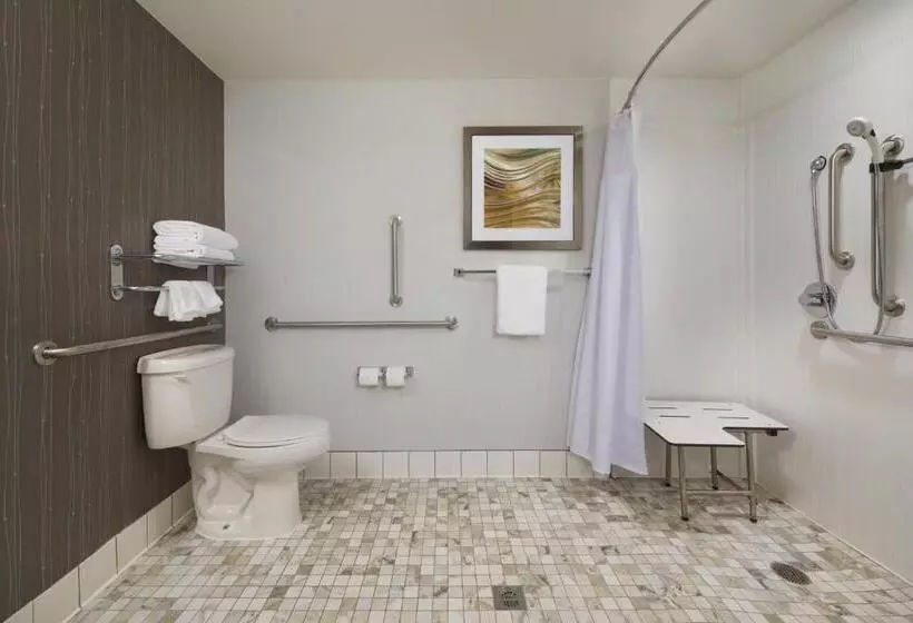 身障者適用キングサイズベッドルーム, Courtyard Grand Junction