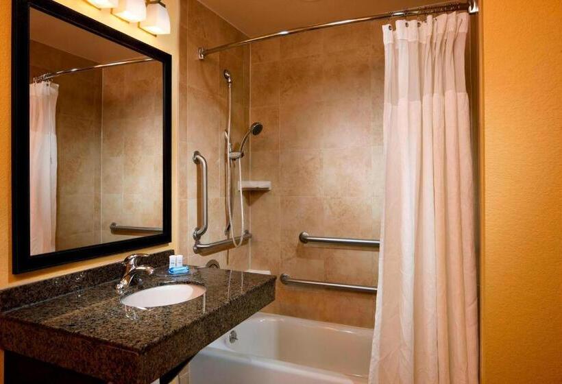 Suíte Executivo, Fairfield Inn & Suites Houston Intercontinental Airport