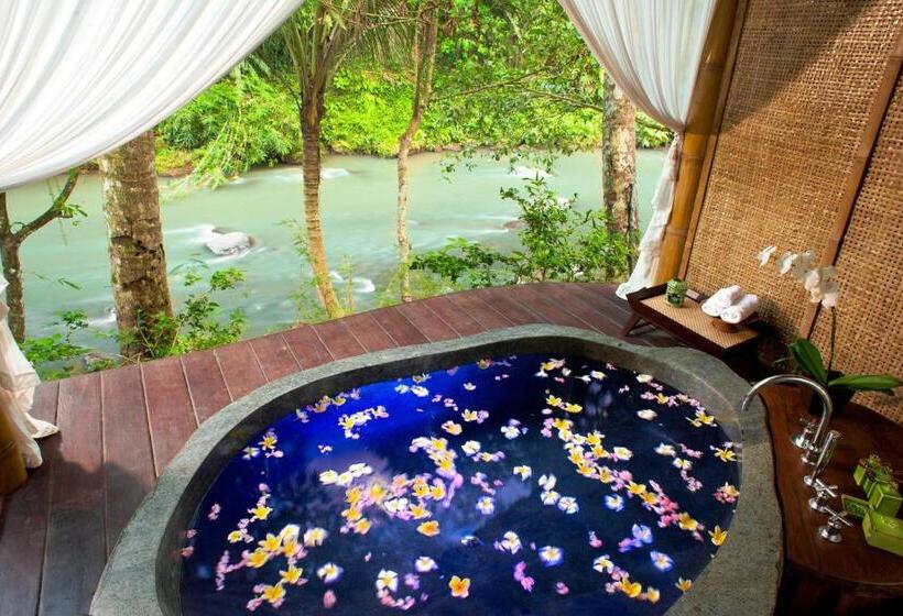 سوئیت با چشم‌انداز رودخانه, Fivelements Retreat Bali