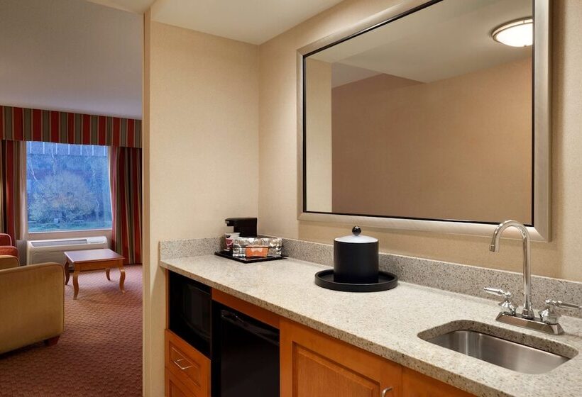 استودیوی استاندارد, Hampton Inn & Suites Hartford/east Hartford