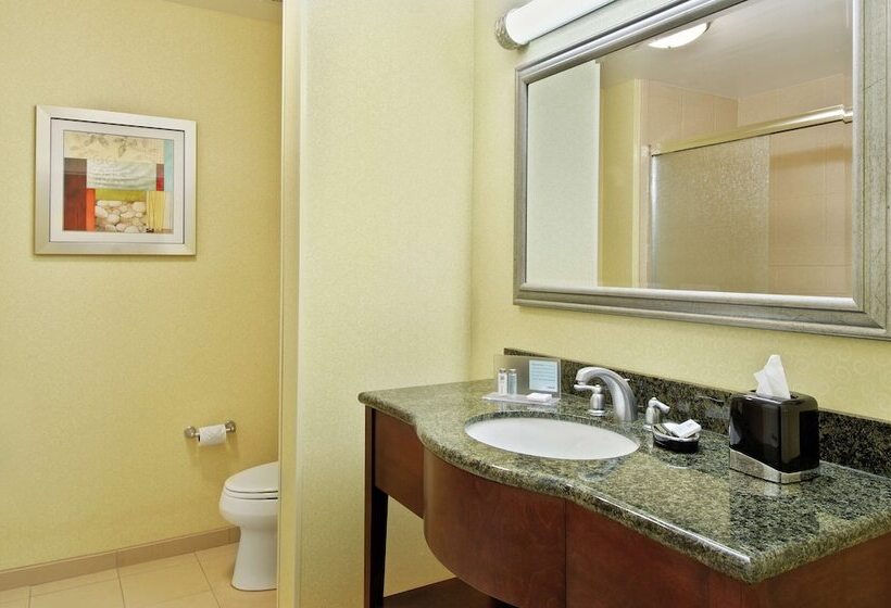 Pokój Typu Standard Przystosowany dla Osób Niepełnosprawnych, Hampton Inn & Suites Knoxvilleturkey Creek/farragut