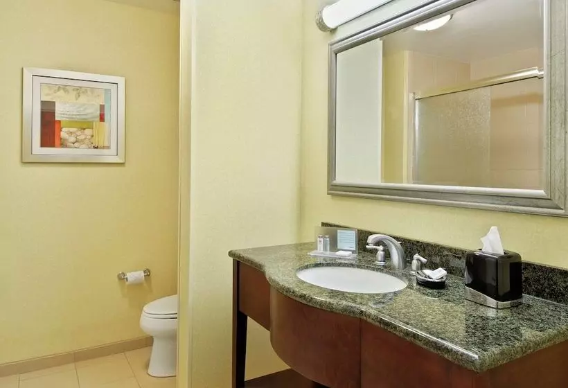 身障者適用スタンダードルーム, Hampton Inn & Suites Knoxvilleturkey Creek/farragut