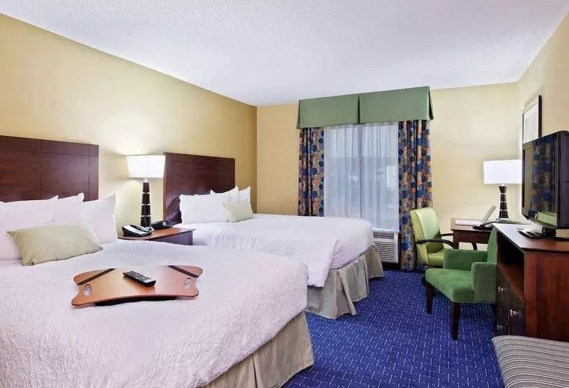 身障者適用スタンダードルーム, Hampton Inn & Suites Knoxvilleturkey Creek/farragut