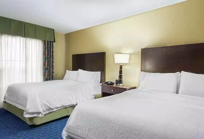 身障者適用スタンダードルーム, Hampton Inn & Suites Knoxvilleturkey Creek/farragut
