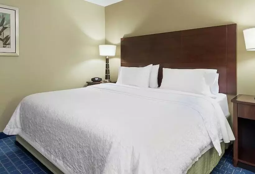 身障者適用スタンダードルーム, Hampton Inn & Suites Knoxvilleturkey Creek/farragut