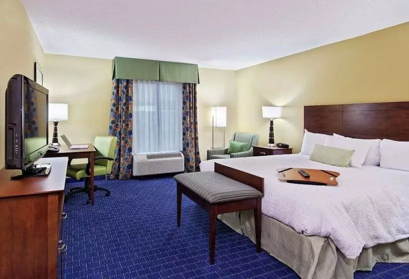 身障者適用スタンダードルーム, Hampton Inn & Suites Knoxvilleturkey Creek/farragut