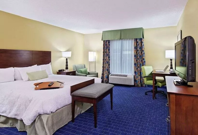 身障者適用スタンダードルーム, Hampton Inn & Suites Knoxvilleturkey Creek/farragut