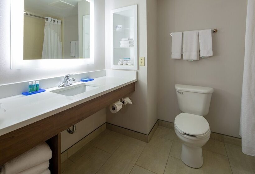 חדר סטנדרט, Holiday Inn Express Hotel & Suites Lenoir City Knoxville Area, An Ihg