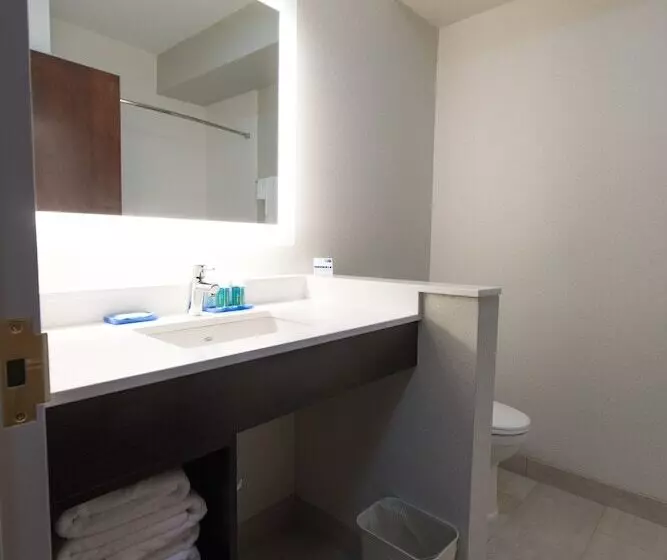スタンダードルーム, Holiday Inn Express Hotel & Suites Erie An Ihg
