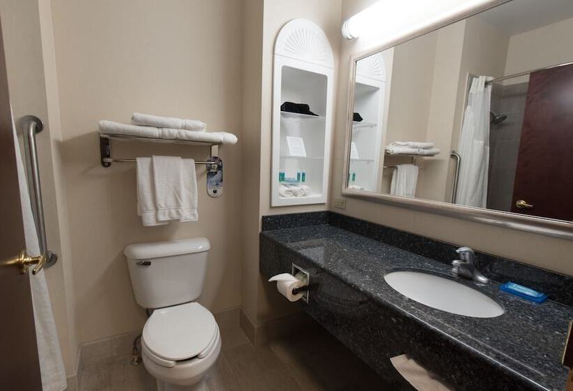 غرفة قياسية, Holiday Inn Express Hotel & Suites Erie An Ihg