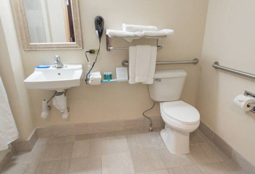 סוויטה מותאמת לאדם עם מוגבלויות, Holiday Inn Express Hotel & Suites Erie An Ihg
