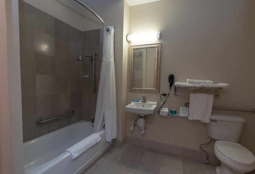 جناح لذوى الاحتياجات الخاصة, Holiday Inn Express Hotel & Suites Erie An Ihg