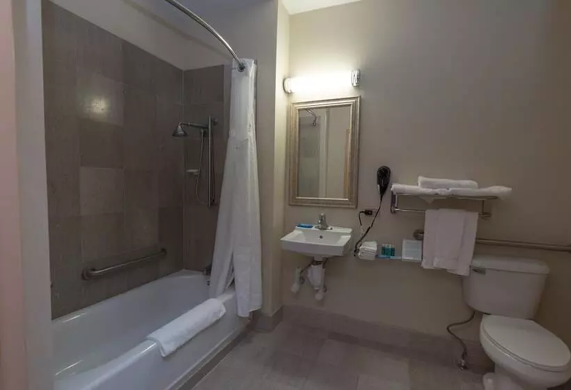 身障者適用スイートルーム, Holiday Inn Express Hotel & Suites Erie An Ihg