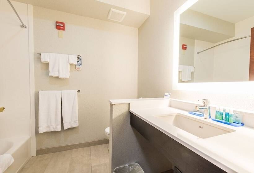 جناح لذوى الاحتياجات الخاصة, Holiday Inn Express Hotel & Suites Erie An Ihg