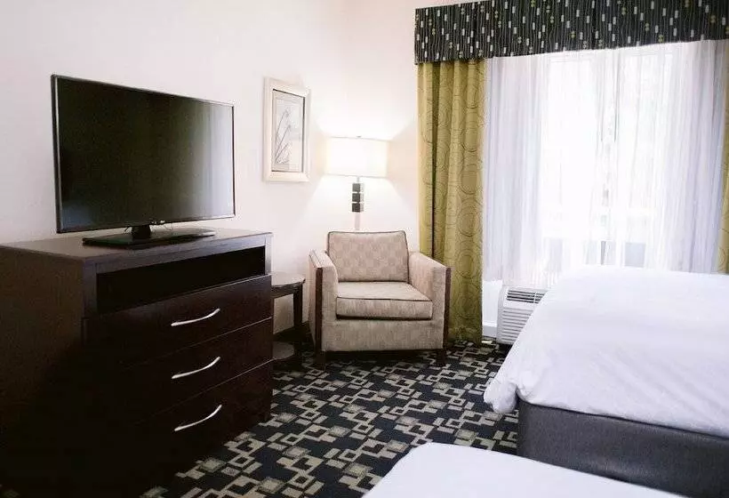 スイート, Holiday Inn Express Hotel Raleigh Southwest, An Ihg