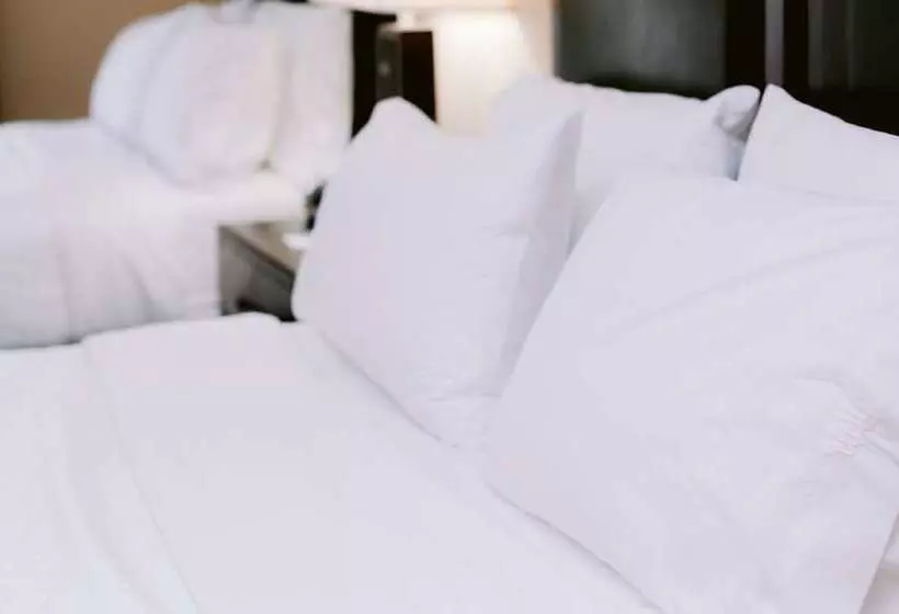 スタンダードルーム, Holiday Inn Express Hotel Raleigh Southwest, An Ihg