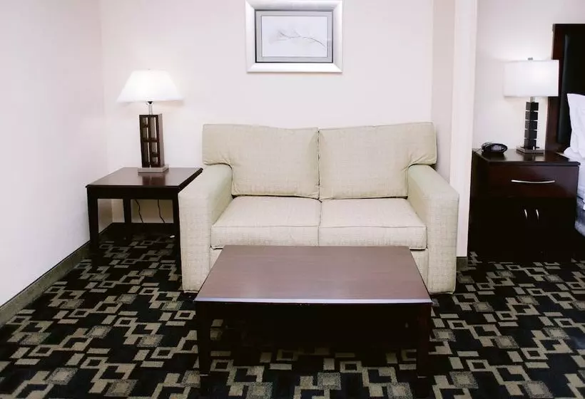 身障者適用スイートルーム, Holiday Inn Express Hotel Raleigh Southwest, An Ihg