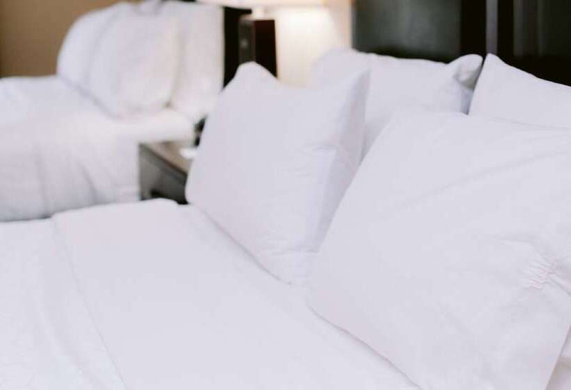 جناح لذوى الاحتياجات الخاصة, Holiday Inn Express Hotel Raleigh Southwest, An Ihg