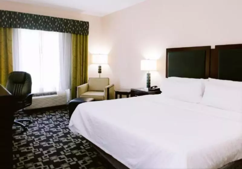 身障者適用キングサイズベッドルーム, Holiday Inn Express Hotel Raleigh Southwest, An Ihg