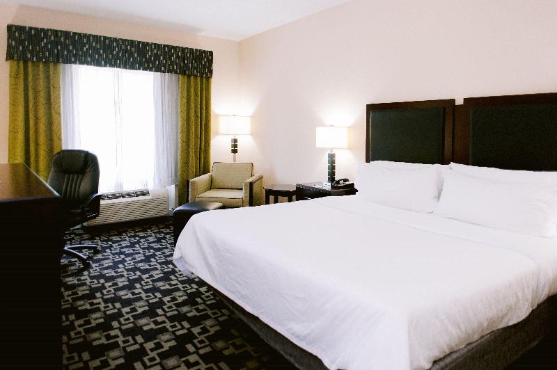 جناح سرير كينج, Holiday Inn Express Hotel Raleigh Southwest, An Ihg
