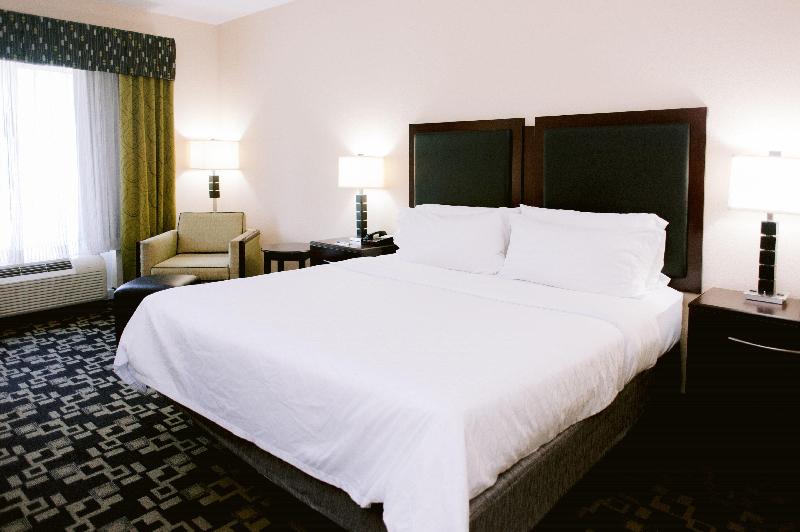 غرفة قياسية سرير كينج, Holiday Inn Express Hotel Raleigh Southwest, An Ihg