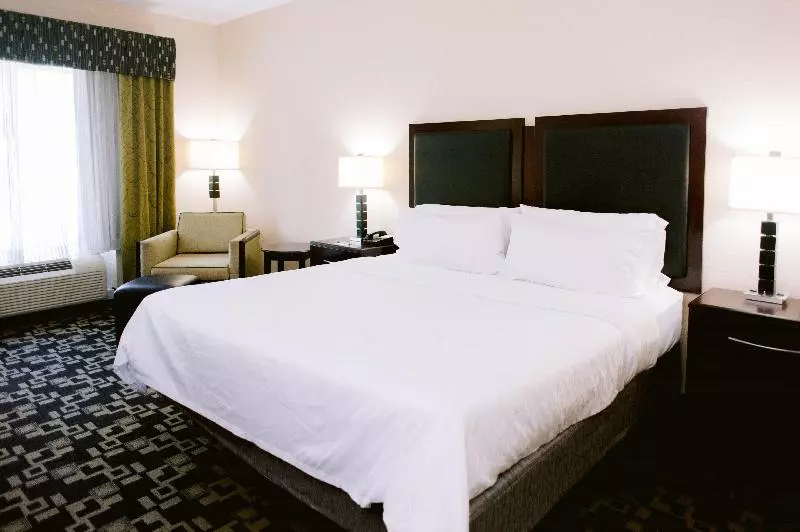 キングサイズベッドのスタンダードルーム, Holiday Inn Express Hotel Raleigh Southwest, An Ihg