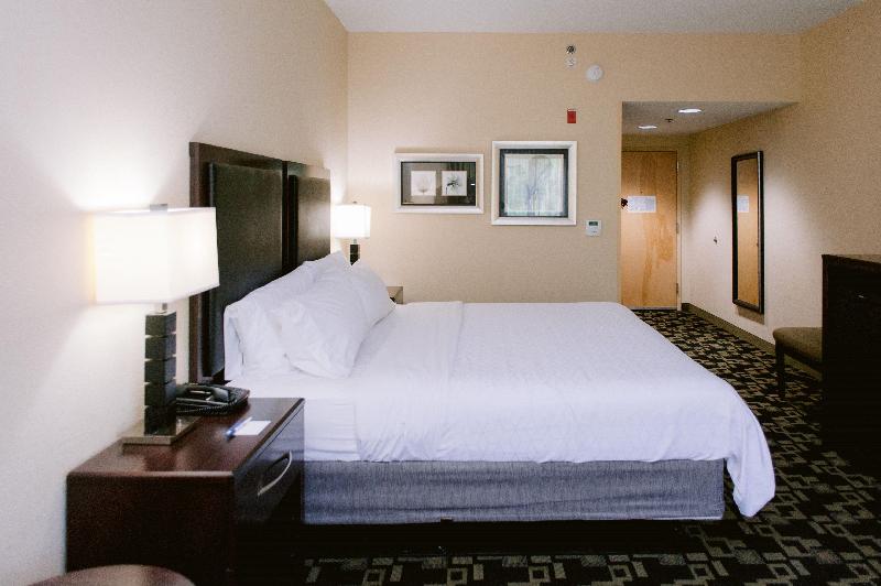 غرفة قياسية سرير كينج, Holiday Inn Express Hotel Raleigh Southwest, An Ihg