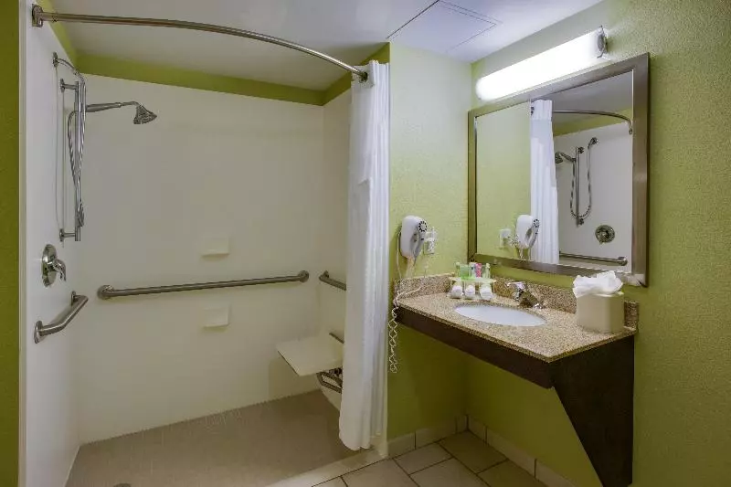 身障者適用キングサイズベッドルーム, Holiday Inn Express Hotel Raleigh Southwest, An Ihg