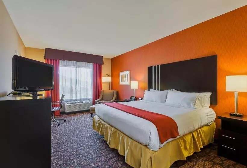 اتاق استاندارد با تخت بزرگ, Holiday Inn Express And Suites Alpine, An Ihg