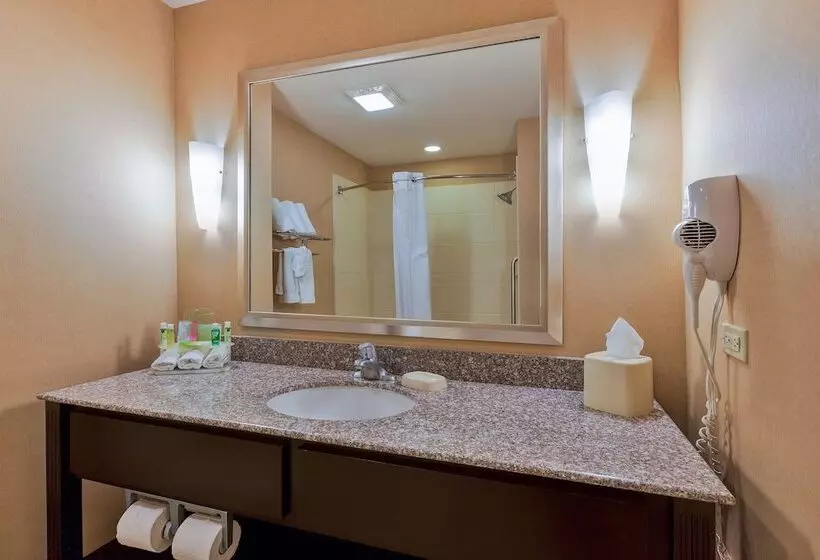 Sviitti Poreallas, Holiday Inn Express And Suites Alpine, An Ihg