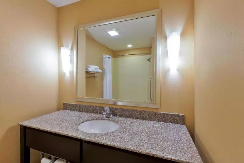 سوئیت با تخت بزرگ, Holiday Inn Express And Suites Alpine, An Ihg